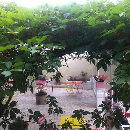 فندق La Palmeraie